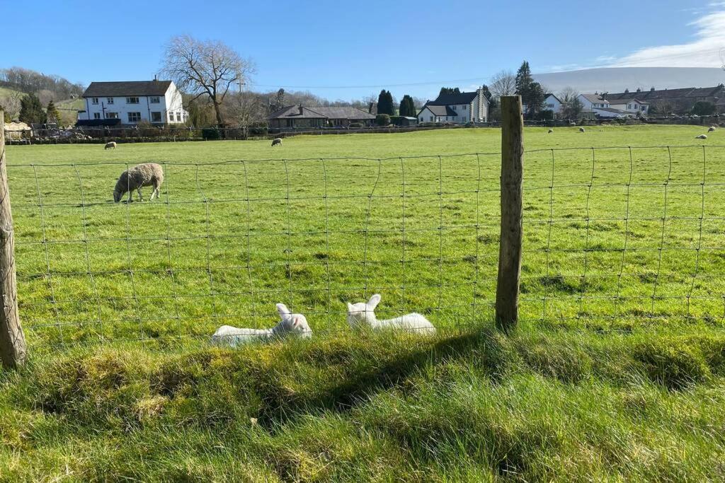 Sawley In The Forest Of Bowland - Cosy Cottage. Clitheroe Esterno foto